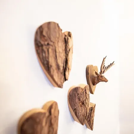 דירה Gipfelstuermer *